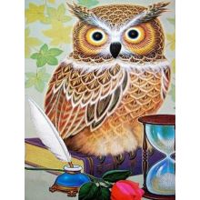 Almaz mozaika Bayquş 30×40 sm Diamond Painting